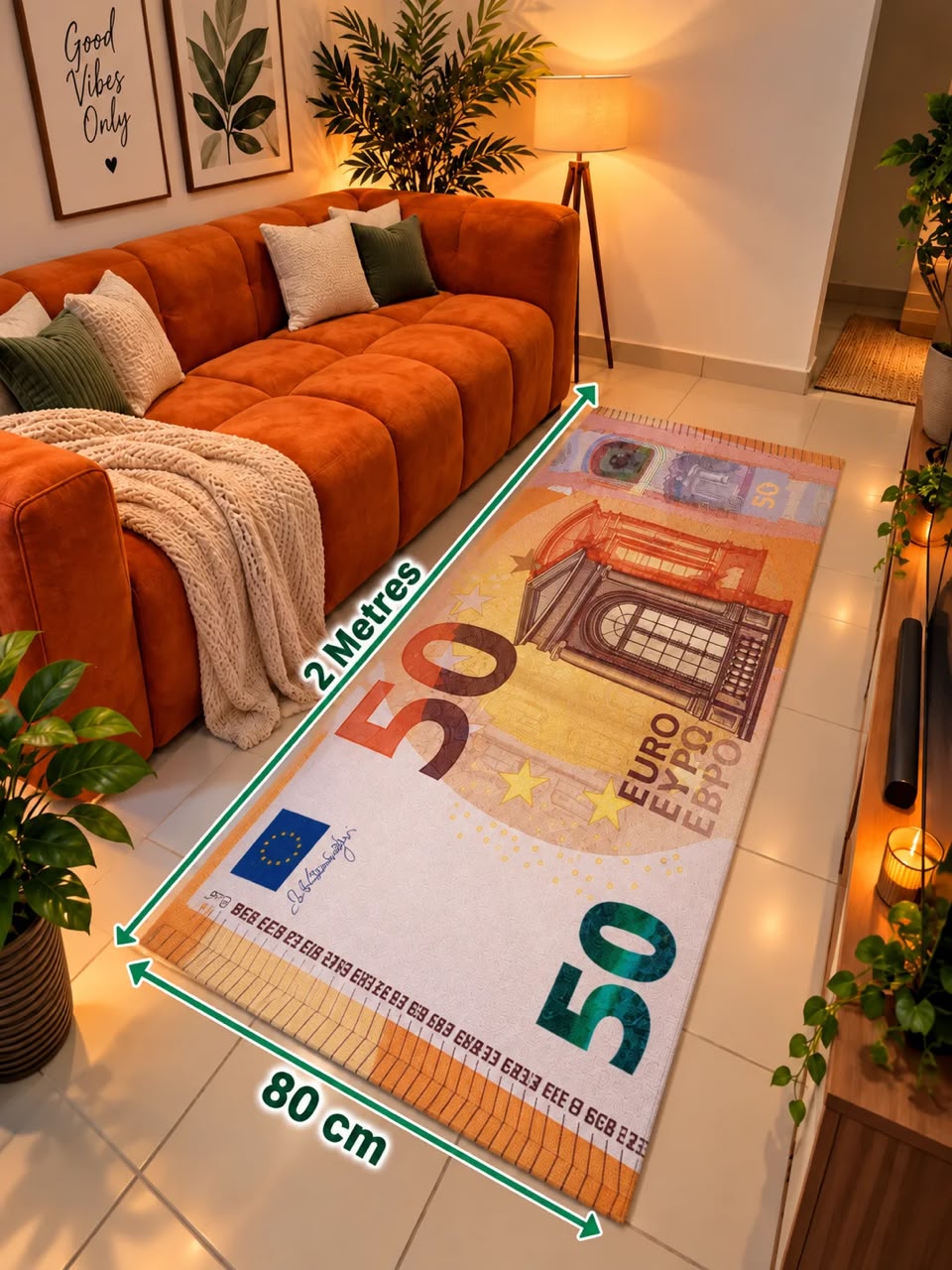 Tapis billet 50 euros 80 cm x 2 m dans un salon